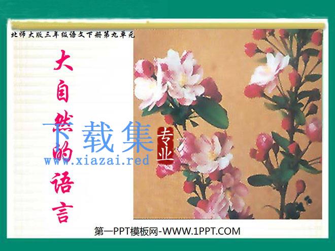 《大自然的语言》PPT课件3