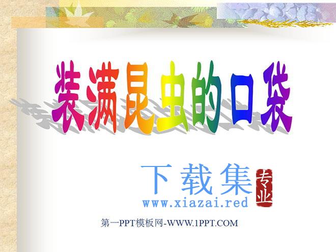 《装满昆虫的口袋》PPT课件