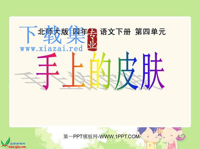 《手上的皮肤》PPT课件