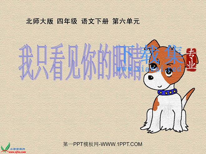 《我只看见你的眼睛》PPT课件