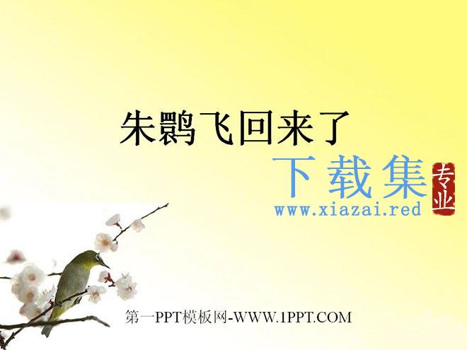 《朱鹮飞回来了》PPT课件