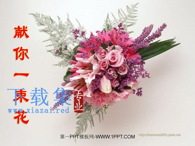 《献你一束花》PPT课件