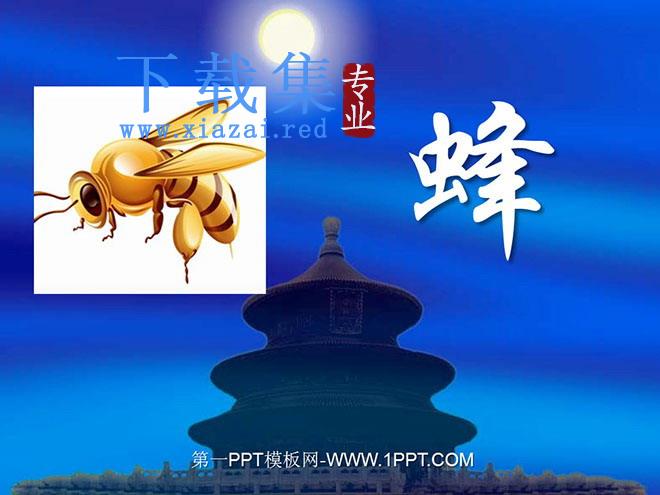 《蜂》PPT课件