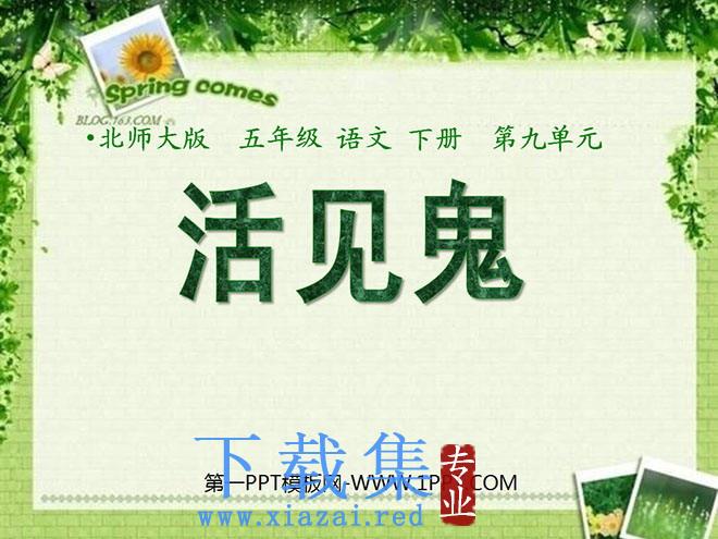《活见鬼》PPT课件2
