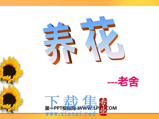 《养花》PPT课件2