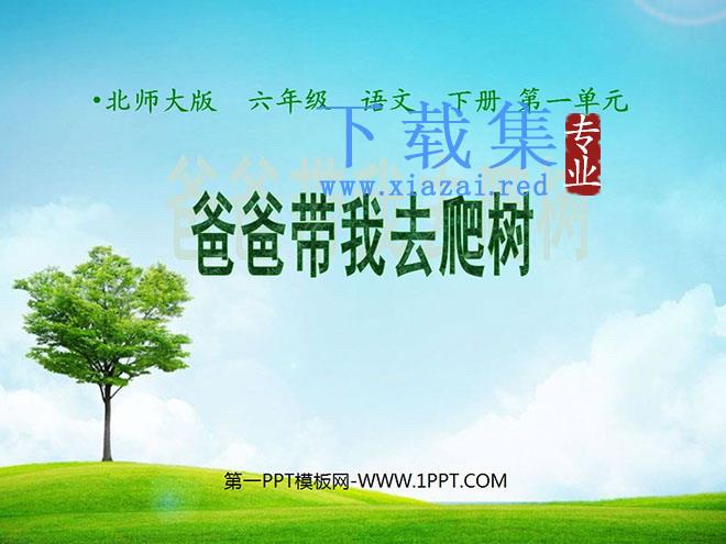 《爸爸带我去爬树》PPT课件