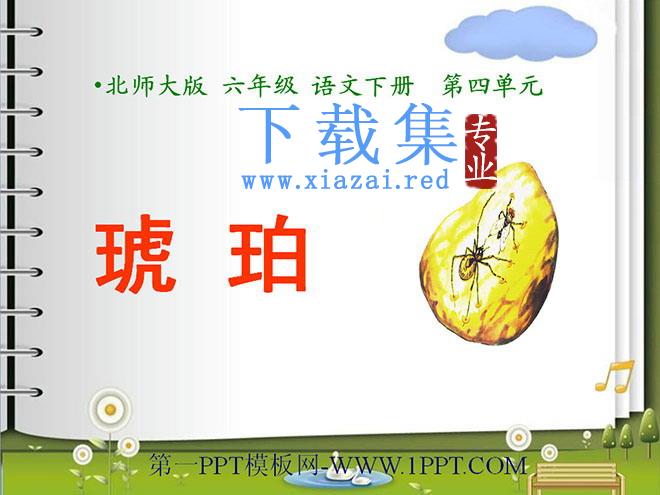 《琥珀》PPT课件