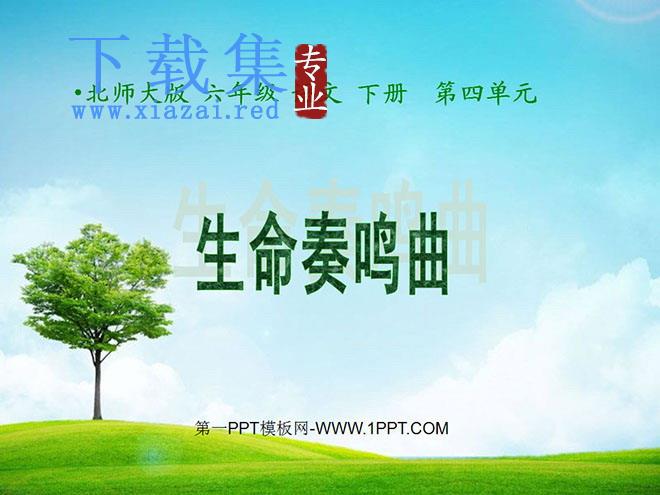 《生命奏鸣曲》PPT课件