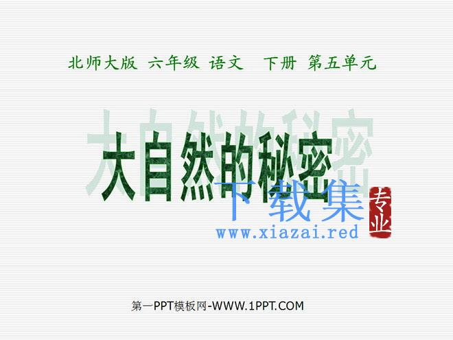 《大自然的秘密》PPT课件