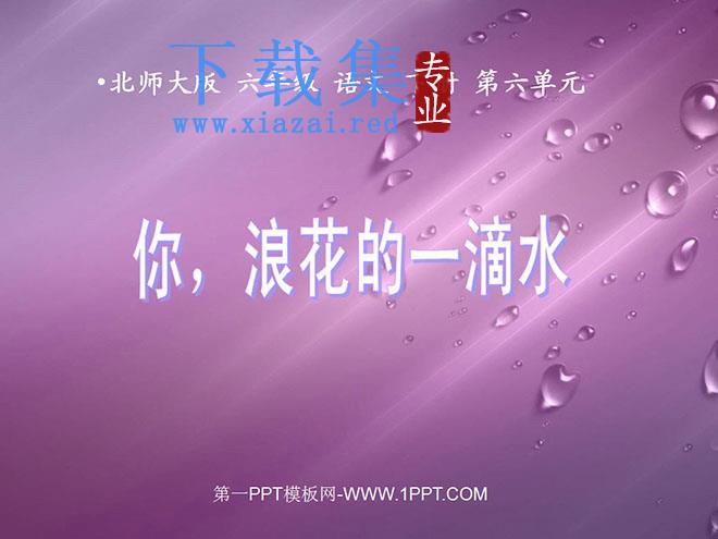 《你，浪花的一滴水》PPT课件