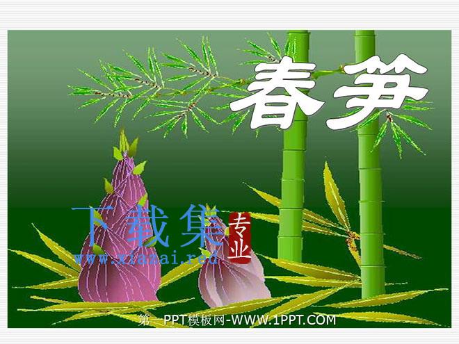 《春笋》PPT课件2