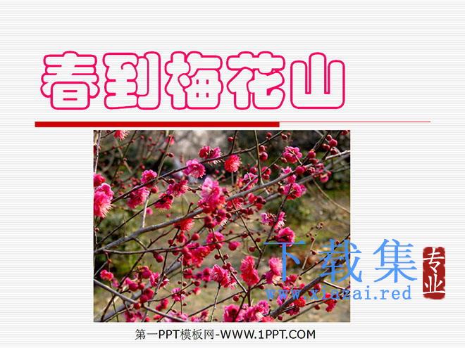 《春到梅花山》PPT课件2