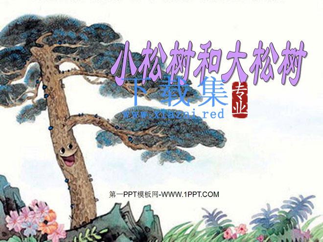 《小松树和大松树》PPT课件