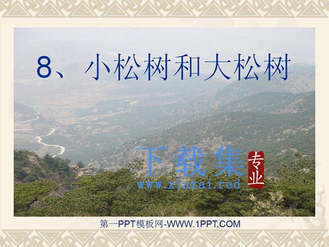 《小松树和大松树》PPT课件2