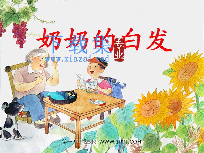 《奶奶的白发》PPT课件