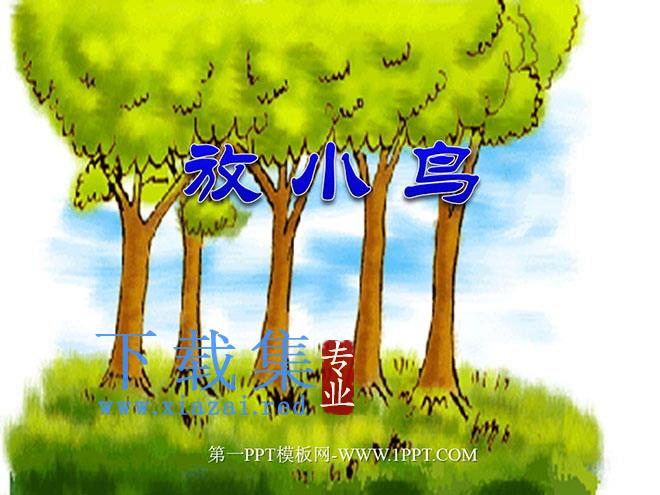 《放小鸟》PPT课件