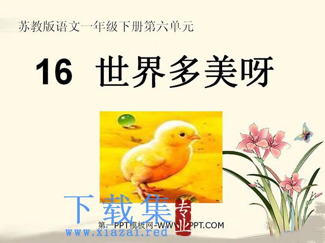 《世界多美呀》PPT课件