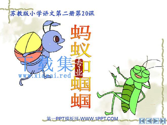 《蚂蚁和蝈蝈》PPT课件