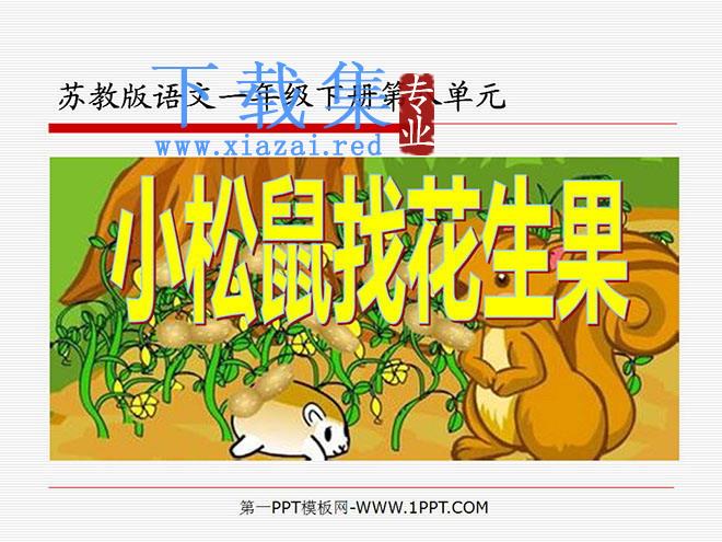 《小松鼠找花生果》PPT课件
