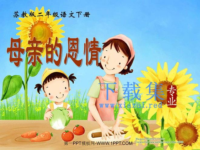 《母亲的恩情》PPT课件2
