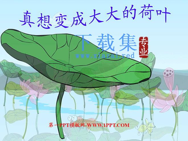 《真想变成大大的荷叶》PPT课件2