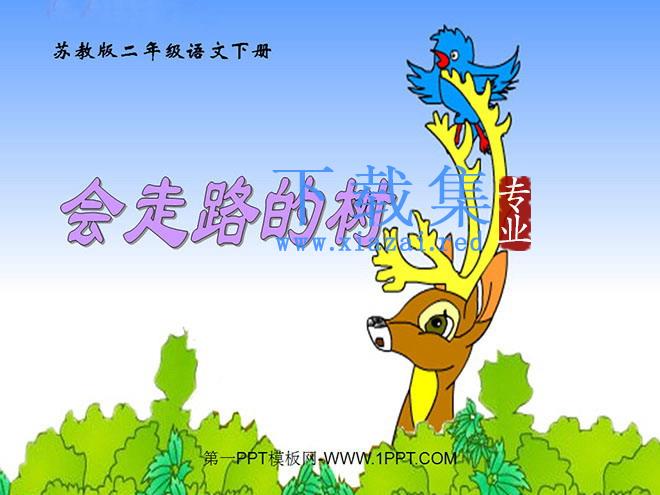 《会走路的树》PPT课件