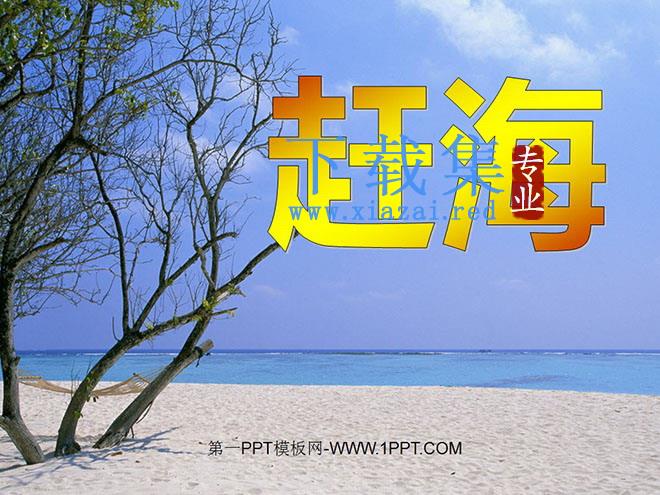 《赶海》PPT课件