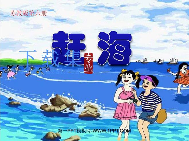 《赶海》PPT课件2