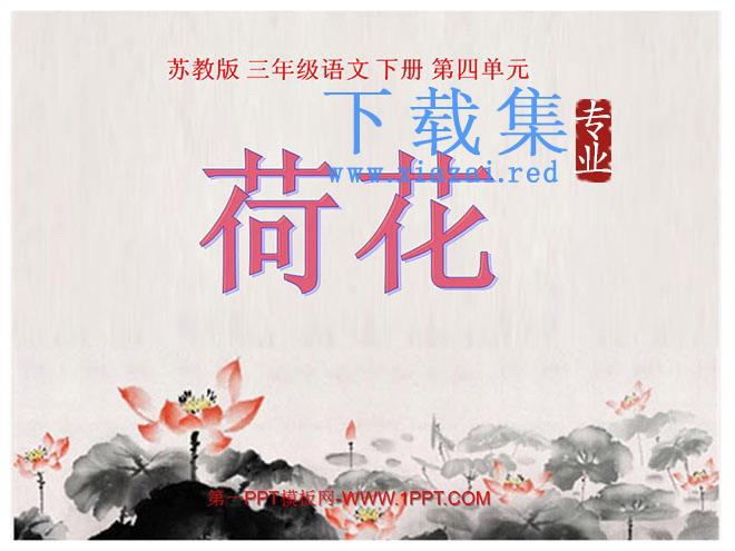 《荷花》PPT课件5