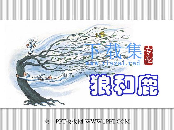 《狼和鹿》PPT课件