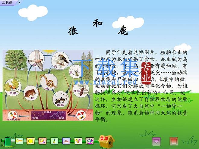 《狼和鹿》Flash动画课件