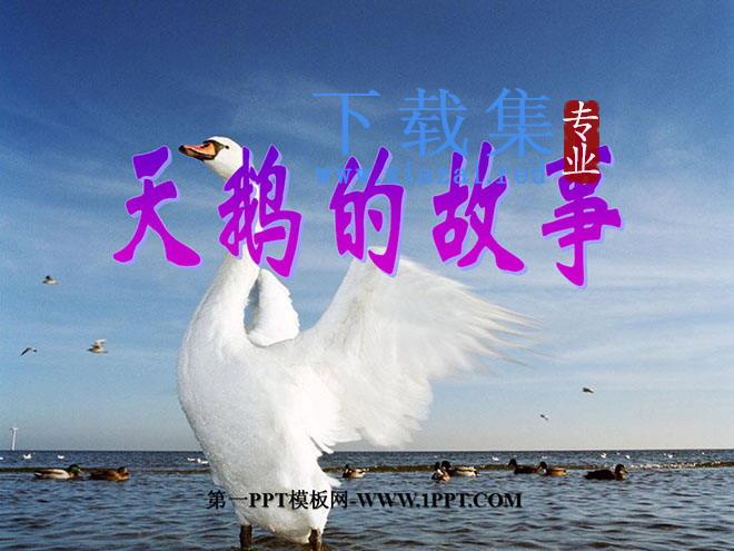 《天鹅的故事》PPT课件4
