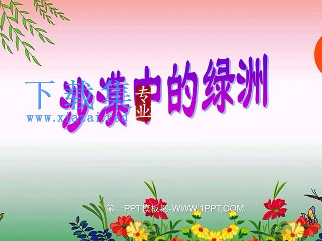 《沙漠中的绿洲》PPT课件2