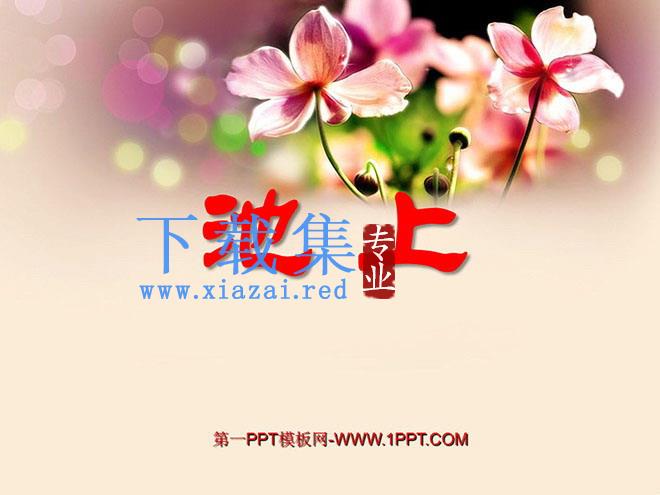 《池上》PPT课件