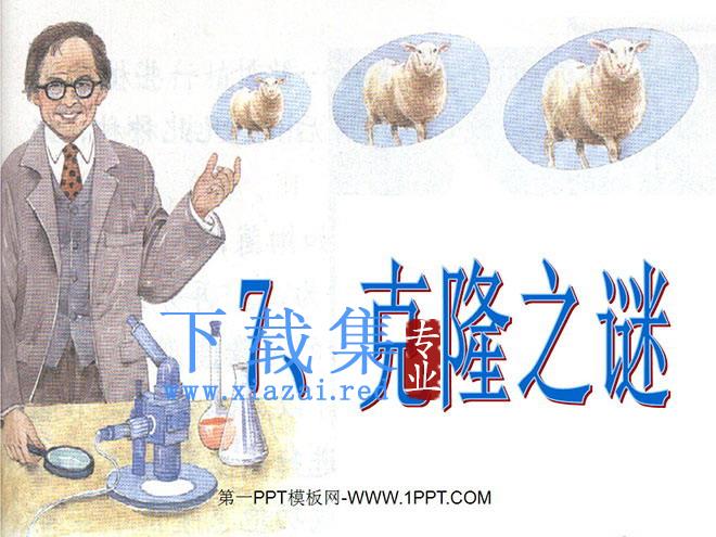 《克隆之谜》PPT课件2