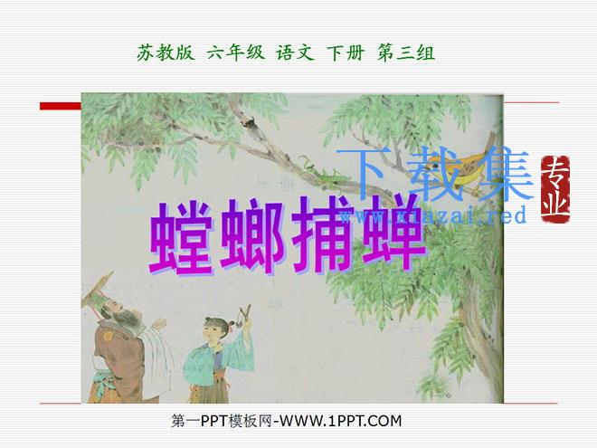 《螳螂捕蝉》PPT课件3