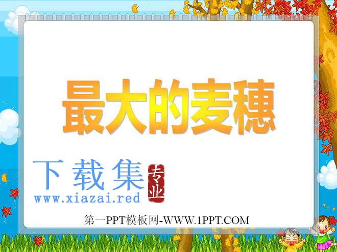 《最大的麦穗》PPT课件