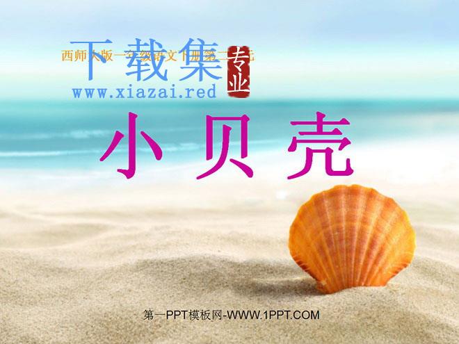 《小贝壳》PPT课件