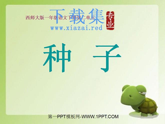 《种子》PPT课件