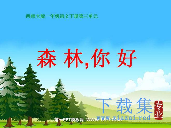 《森林你好》PPT课件