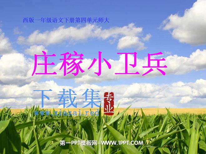 《庄稼小卫兵》PPT课件