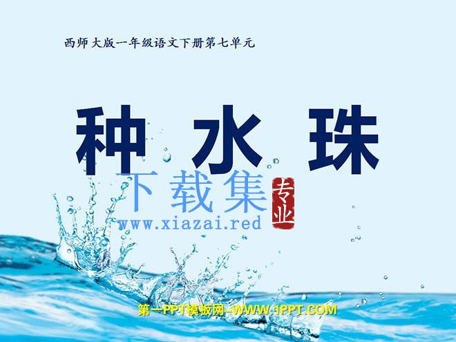 《种水珠》PPT课件