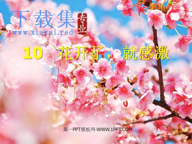 《花开了，就感激》PPT课件