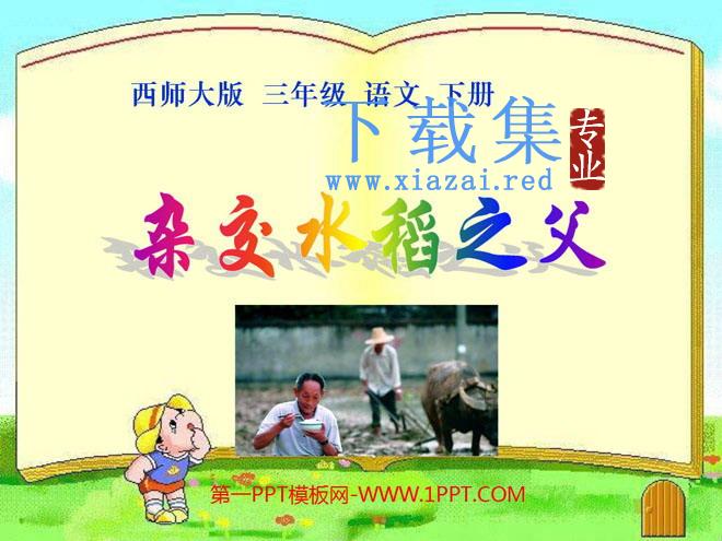 《杂交水稻之父》PPT课件