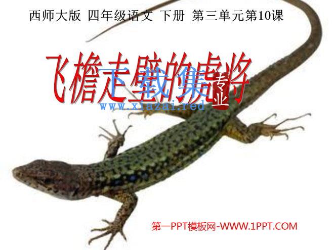 《飞檐走壁的虎将》PPT课件3