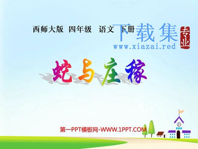 《蛇与庄稼》PPT课件