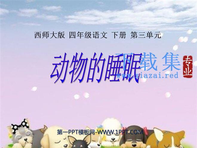 《动物的睡眠》PPT课件