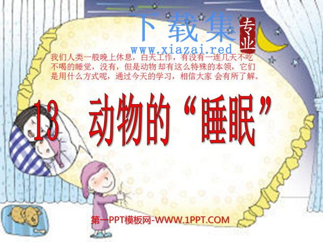 《动物的睡眠》PPT课件2