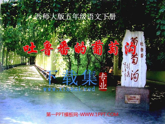 《吐鲁番的葡萄沟》PPT课件3
