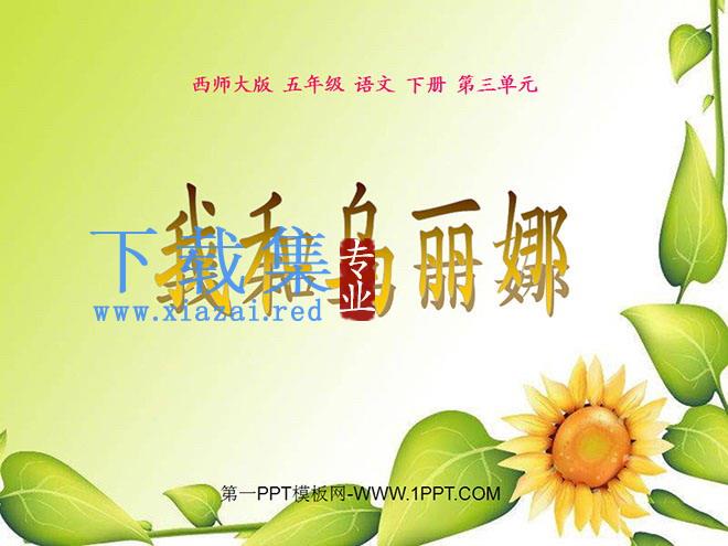 《我和乌丽娜》PPT课件